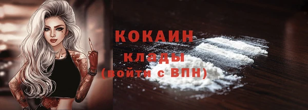 mdma Дмитриев