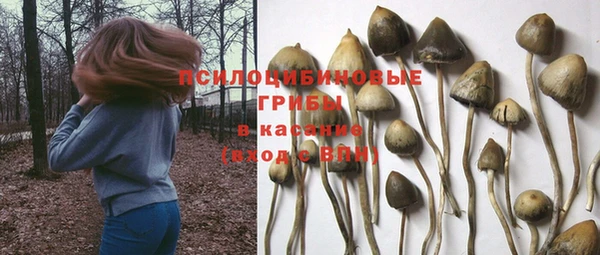 спиды Дмитров