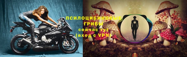 прущая мука Дмитровск