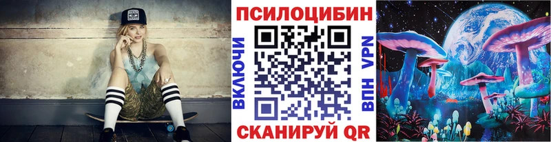 Купить где  Карабаново  Псилоцибиновые грибы прущие грибы 